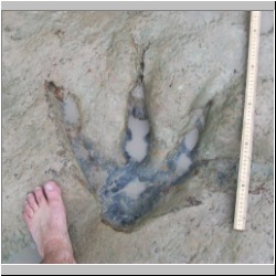 100_0578 (2009-26-07)m.JPG